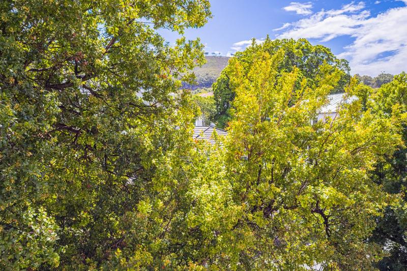 1 Bedroom Property for Sale in Gardens Western Cape